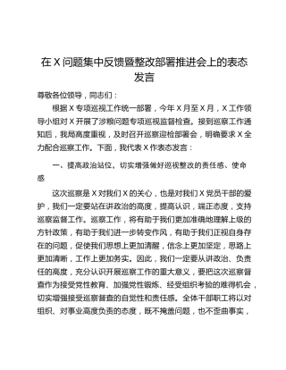 在X问题集中反馈暨整改部署推进会上的表态发言