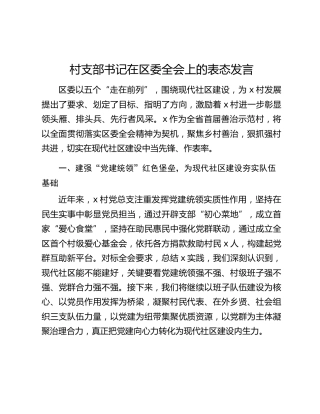 村支部书记在区委全会上的表态发言