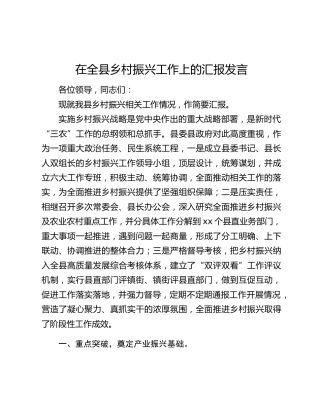 在全县乡村振兴工作上的汇报发言