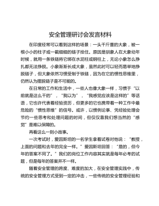 安全管理研讨会发言材料