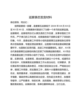 巡察表态发言材料