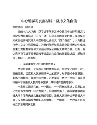 中心组学习发言材料：坚持文化自信