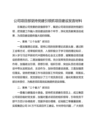 公司项目部坚持党建引领抓项目建设发言材料