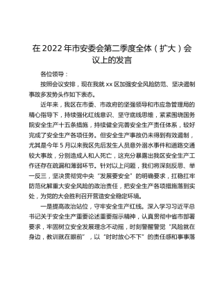 在2022年市安委会第二季度全体（扩大）会议上的发言