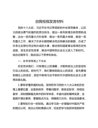 自我检视发言材料