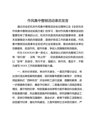 作风集中整顿活动表态发言