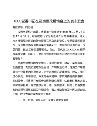 XXX党委书记在巡察整改反馈会上的表态发言
