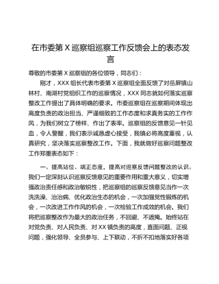 在市委第X巡察组巡察工作反馈会上的表态发言