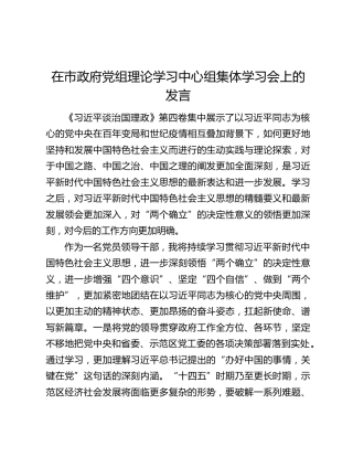 在市政府党组理论学习中心组集体学习会上的发言（治国理政第四卷）
