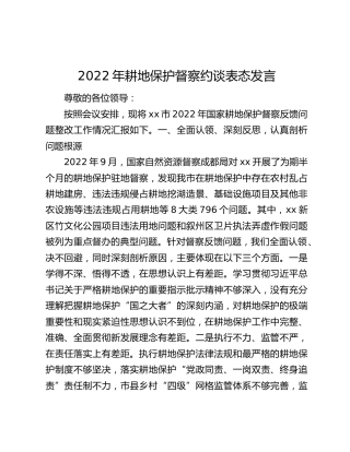 2022年耕地保护督察约谈表态发言