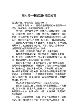 驻村第一书记到村表态发言