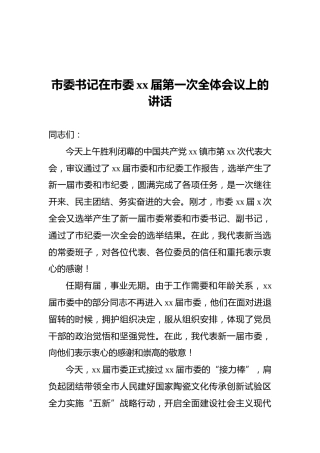 市委书记在市委xx届第一次全体会议上的讲话