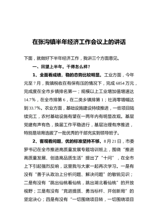 毛中阳：在张沟镇半年经济工作会议上的讲话
