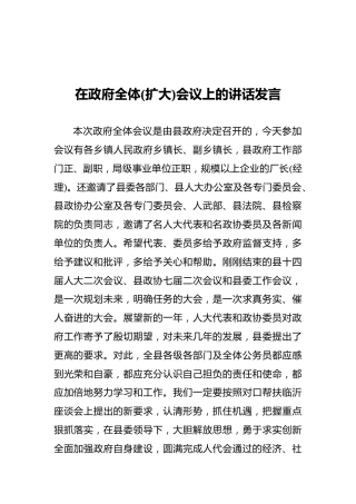 在政府全体(扩大)会议上的讲话发言