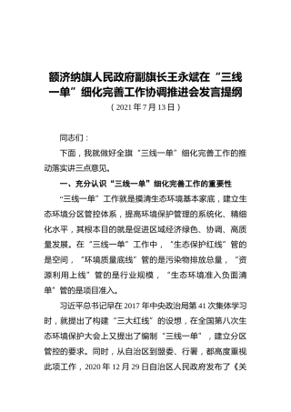 额济纳旗人民政府副旗长王永斌在“三线一单”细化完善工作协调推进会发言提纲