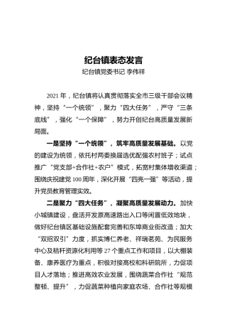 纪台镇表态发言（20210511）