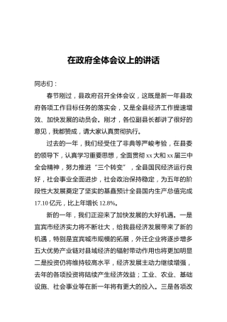 在政府全体会议上的讲话
