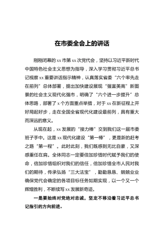 在市委全会上的讲话0