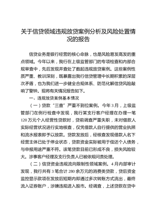 关于信贷领域违规放贷案例分析及风险处置情况的报告