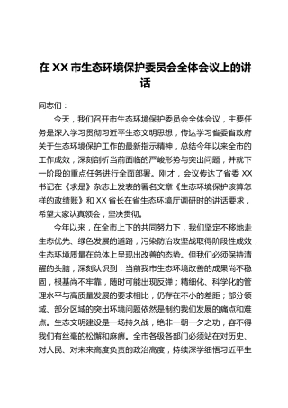 在XX市生态环境保护委员会全体会议上的讲话