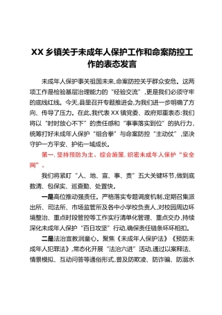 XX乡镇关于未成年人保护工作和命案防控工作的表态发言