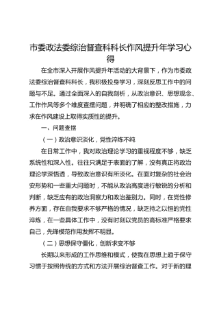 市委政法委综治督查科科长作风提升年学习心得
