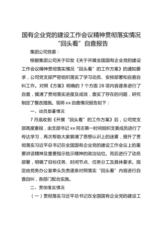 国有企业党的建设工作会议精神贯彻落实情况“回头看”自查报告
