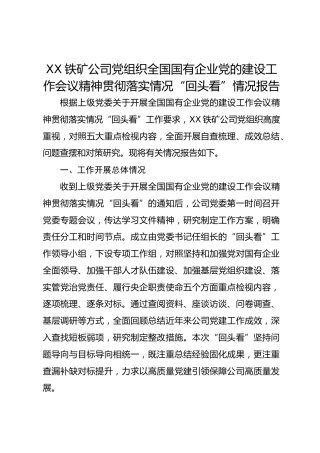 XX铁矿公司党组织全国国有企业党的建设工作会议精神贯彻落实情况“回头看”情况报告2