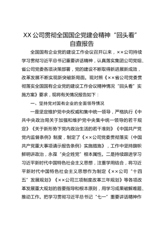 XX公司贯彻全国国企党建会精神“回头看”自查报告