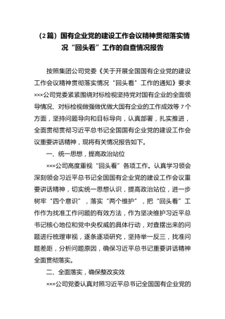 （2篇）国有企业党的建设工作会议精神贯彻落实情况“回头看”工作的自查情况报告