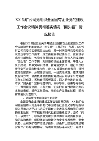 XX铁矿公司党组织全国国有企业党的建设工作会议精神贯彻落实情况“回头看”情况报告