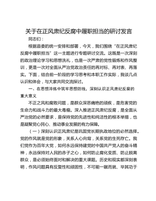 关于在正风肃纪反腐中履职担当的研讨发言