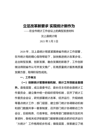 在全市统计工作会议上的典型发言材料