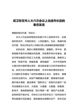 武卫东在市人大六次会议上当选市长后的表态发言