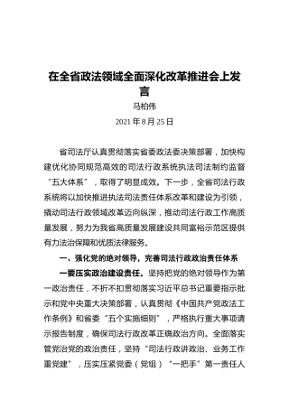 厅长马柏伟在全省政法领域全面深化改革推进会上发言