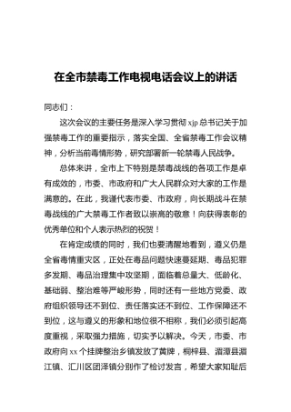 在全市禁毒工作电视电话会议上的讲话