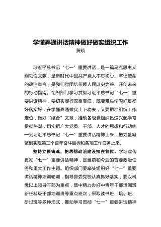 县委组织部部长黄硕：学懂弄通讲话精神做好做实组织工作