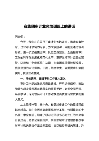 在集团审计业务培训班上的讲话