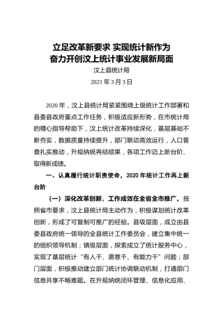 在全市统计工作会议上的交流材料