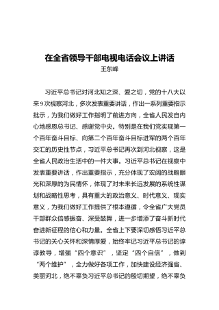 王东峰：在全省领导干部电视电话会议上讲话