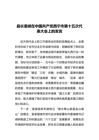 县长董峰在中国共产党西宁市第十五次代表大会上的发言