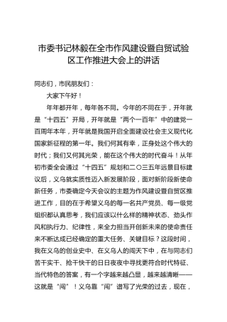 市委书记林毅在全市作风建设暨自贸试验区工作推进大会上的讲话（2021.2.27）