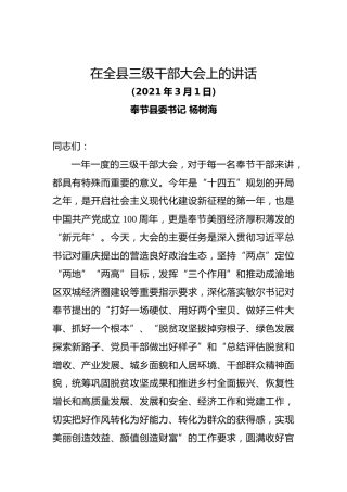 20210301杨树海在全县三级干部大会上的讲话