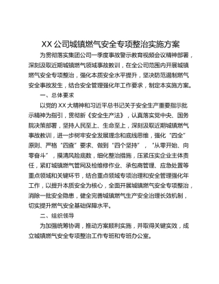 XX公司城镇燃气安全专项整治实施方案