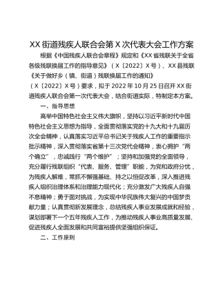 XX街道残疾人联合会第X次代表大会工作方案