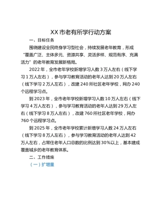 XX市老有所学行动方案