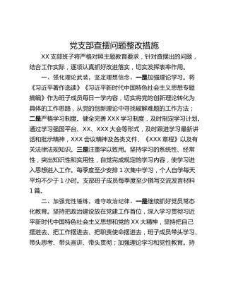 党支部查摆问题整改措施