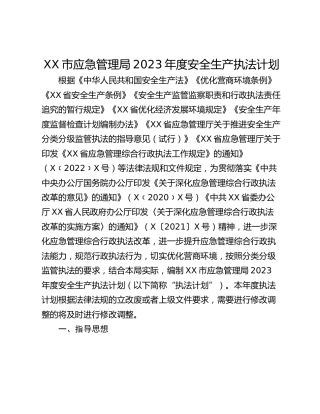 XX市应急管理局2023年度安全生产执法计划