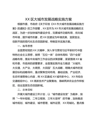 XX区大城市发展战略实施方案