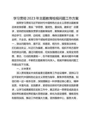 学习贯彻2023年主题教育检视问题工作方案
